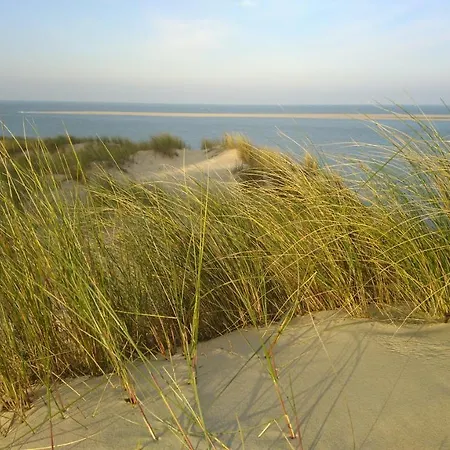 La Dune Les Cigales Du Bassin A בקתה