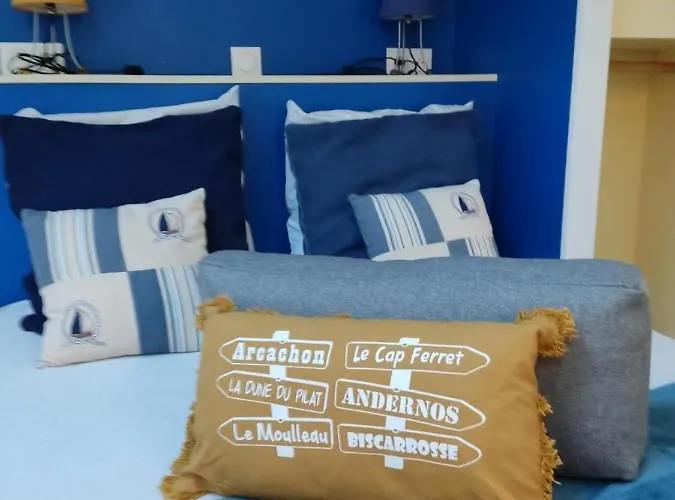 La Dune Les Cigales Du Bassin A Gujan-Mestras