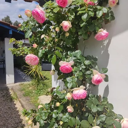 La Dune Les Cigales Du Bassin à Chalet *
