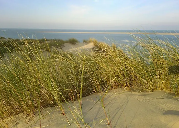 La Dune Les Cigales Du Bassin A Chalet