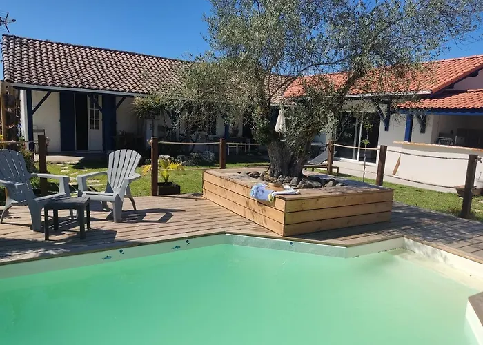 La Dune Les Cigales Du Bassin A Chalet